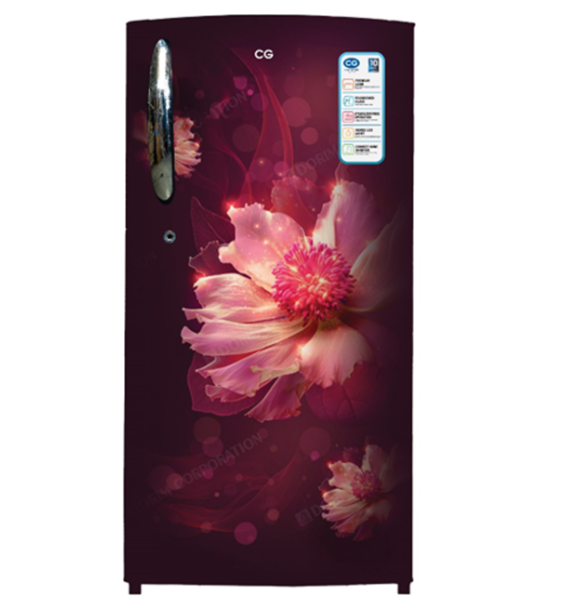 CG 175 Liter Single Door Refrigerator(CGS190DR01)