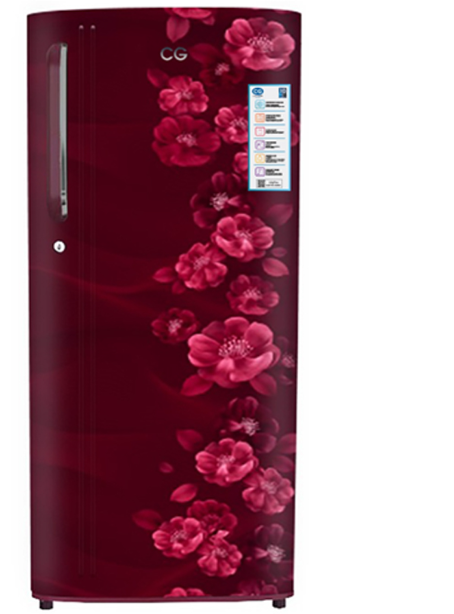 CG 230 Liter Single Door Refrigerator( CGS2503SR)