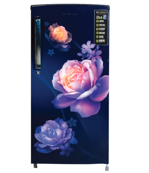 CG 192 Liter Single Door Refrigerator( CGMRS2122MN)