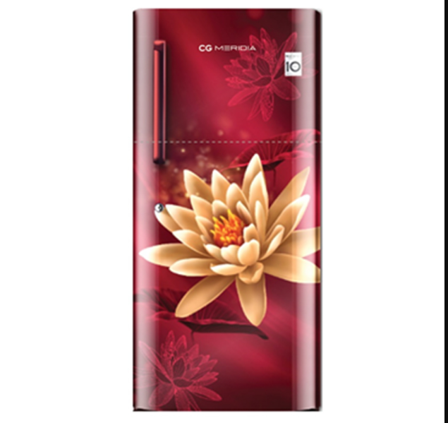 CG Meridia 182 Liter Single Door Refrigerator(CGMRS202RL)