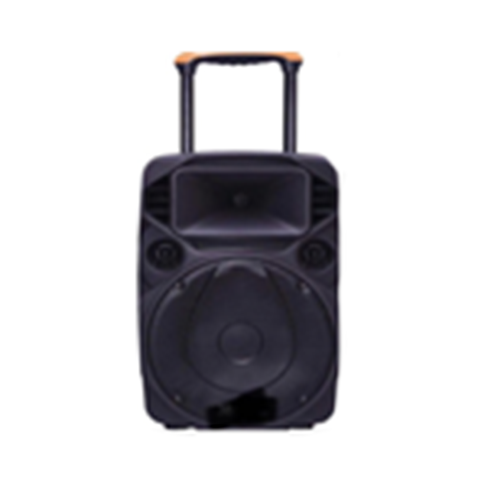 CG 8 Inch Trolley Speaker(CGTS08F01)